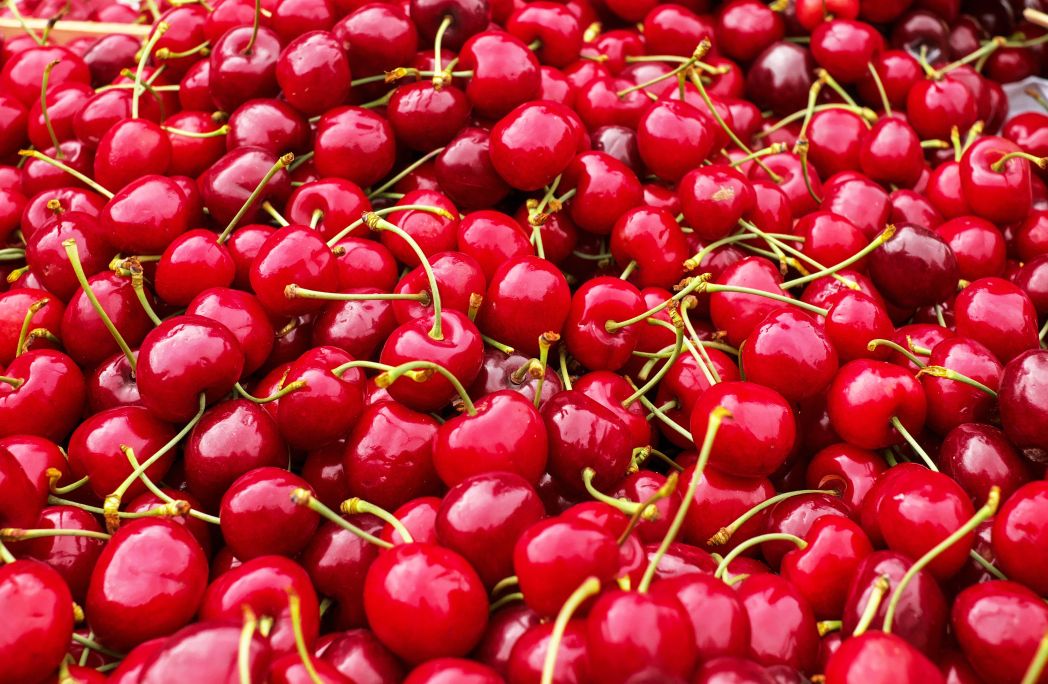 Cherry - Fruit ABC